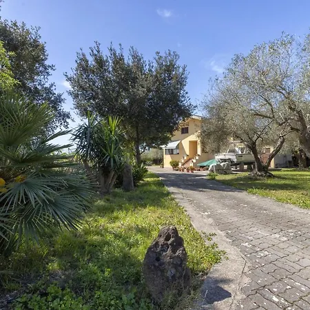 L' Oliveto Fiocca